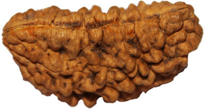 ByCue SH-16-RUD-052 Wooden Yantra(Pack of 1)