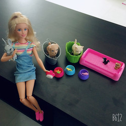 Play and wash pets barbie deals