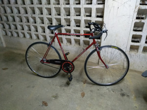 hero hawk cycle weight