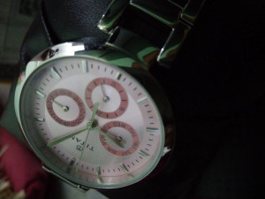 Titan nf2480sm05 deals purple watch