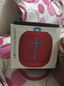 ue wonderboom flipkart