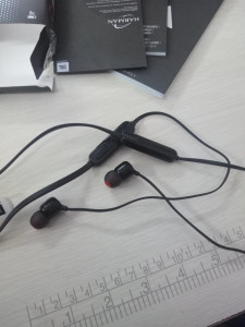 Jbl t110bt best sale flipkart