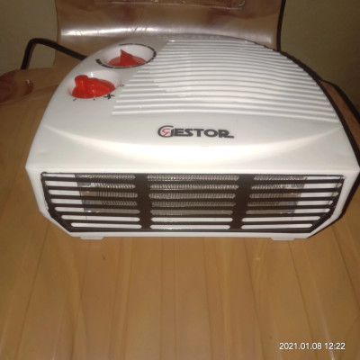 GESTOR Blaze Noiseless with Copper Motor Fan Room Heater Price in India -  Buy GESTOR Blaze Noiseless with Copper Motor Fan Room Heater online at  Flipkart.com