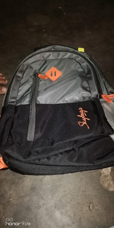 SKYBAGS BPLEO3GRY 26 L Backpack Grey 