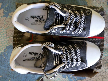 Sparx SM-52 Canvas Sneakers For Men 