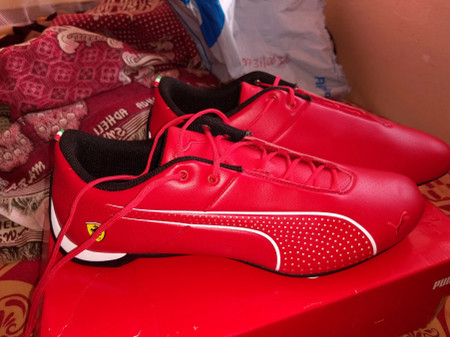 ferrari future cat ultra