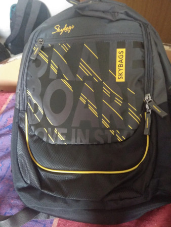SKYBAGS New Arthur 30 L Laptop Backpack 