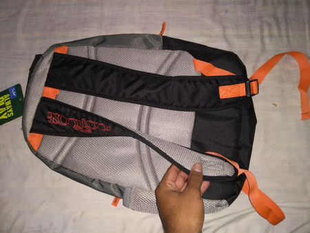 SKYBAGS BPLEO3GRY 26 L Backpack Grey 