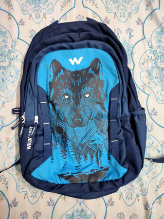 Wildcraft Daredevil 43 L Laptop 
