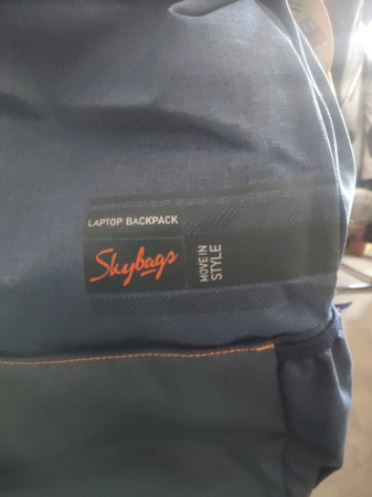 SKYBAGS Beatle 01 Blue 27 L Backpack 