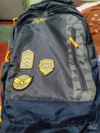 SKYBAGS STREAM 01 30 L Backpack ARMY 