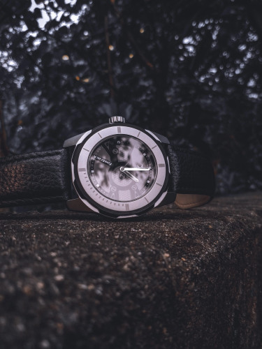Fastrack The Daddie 3099SL06 Watch Price in India (2026) - Review, Last ...