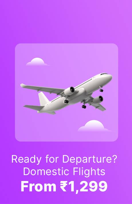 Travel_DT-RHS_AW_Dom-flights-1299