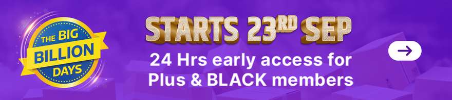 Big sale banner
