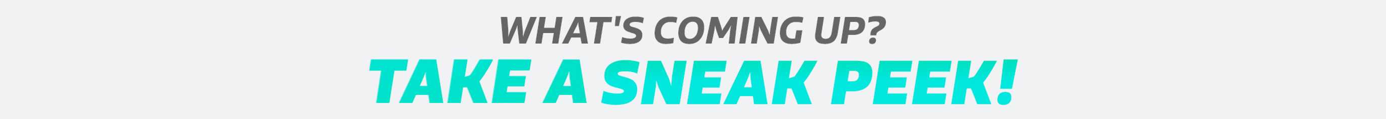 sneek