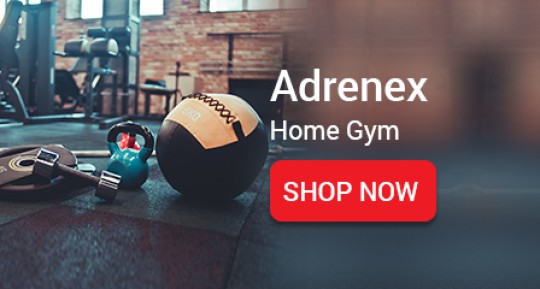 gym equipment price in flipkart