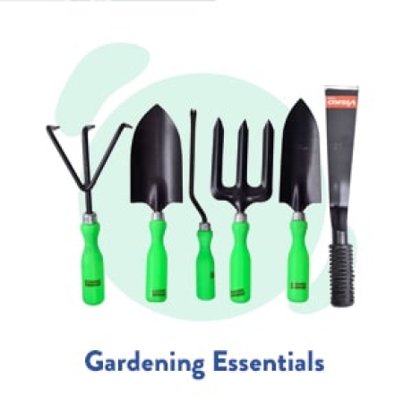 Gardening Must-Haves