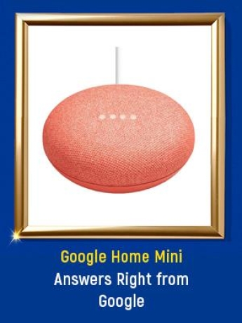 Google Mini