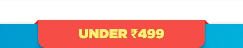 Under Rs.499