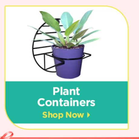 Plant Containers