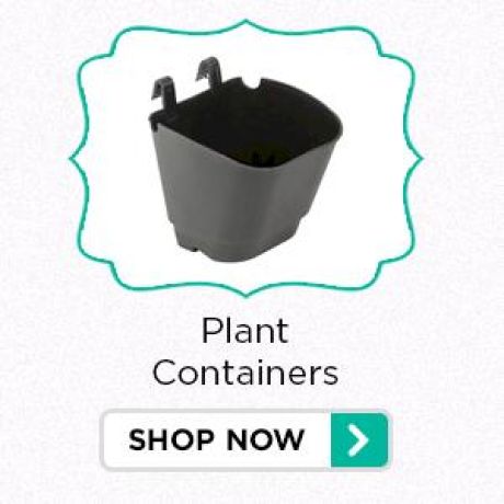 Plant Containers