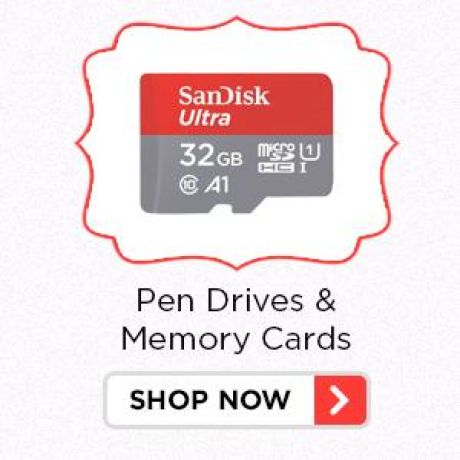 Pen Drives & Memory Cards