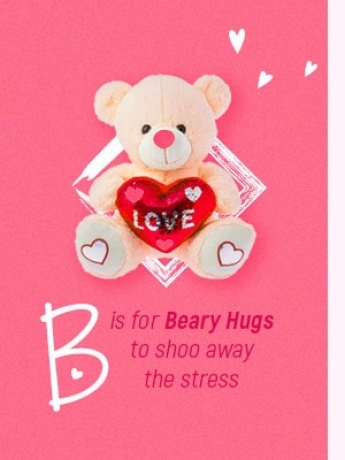 B for Beary Higs