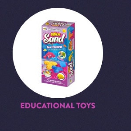 Educational Toys