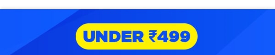 Under Rs.499