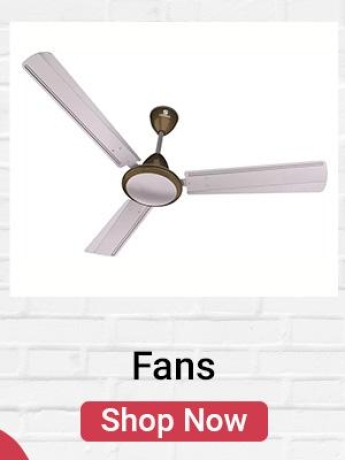 Fans