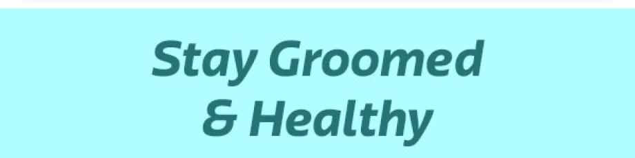 Stay Groomed & Healthy