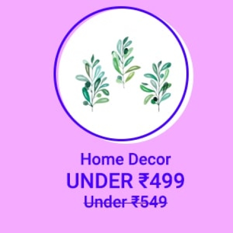 Home Decor under Rs.499