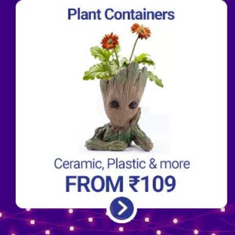 Plant Containers