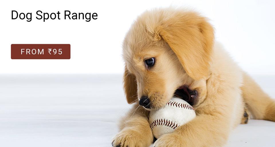 pet day special offers on pet food and supplies online at best price