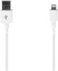 STK MFIIP5DLCWH/PP3 USB Data and Charging Cable