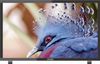 Onida 60.9cm (24 inch) HD Ready LED TV