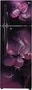 LG 308 L Frost Free Double Door 3 Star Refrigerator