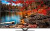 Skyworth 81cm (32 inch) HD Ready LED TV
