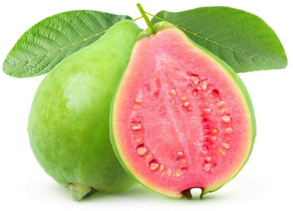 GOROOT Guava, Amrood, Amrud, Psidium, Guajava Seed