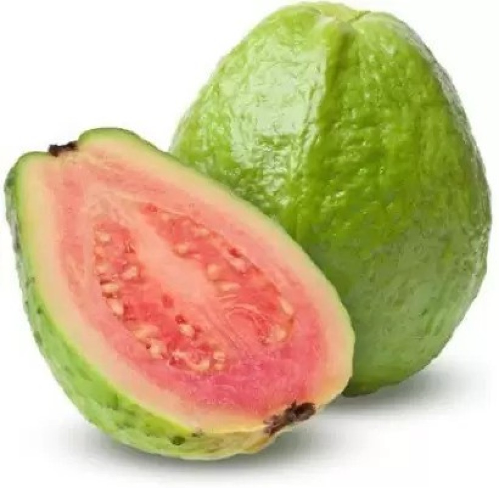 Enorme Guava ( amrood ) Seed (50 per packet) Seed