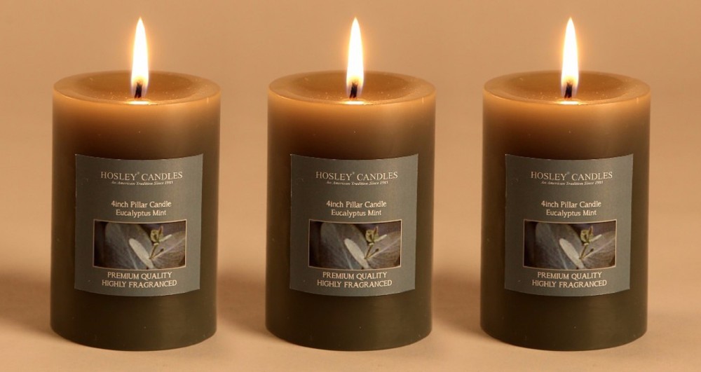 Hosley Set of 3 Eucalyptus Mint 4Inchs Pillar Candles Candle