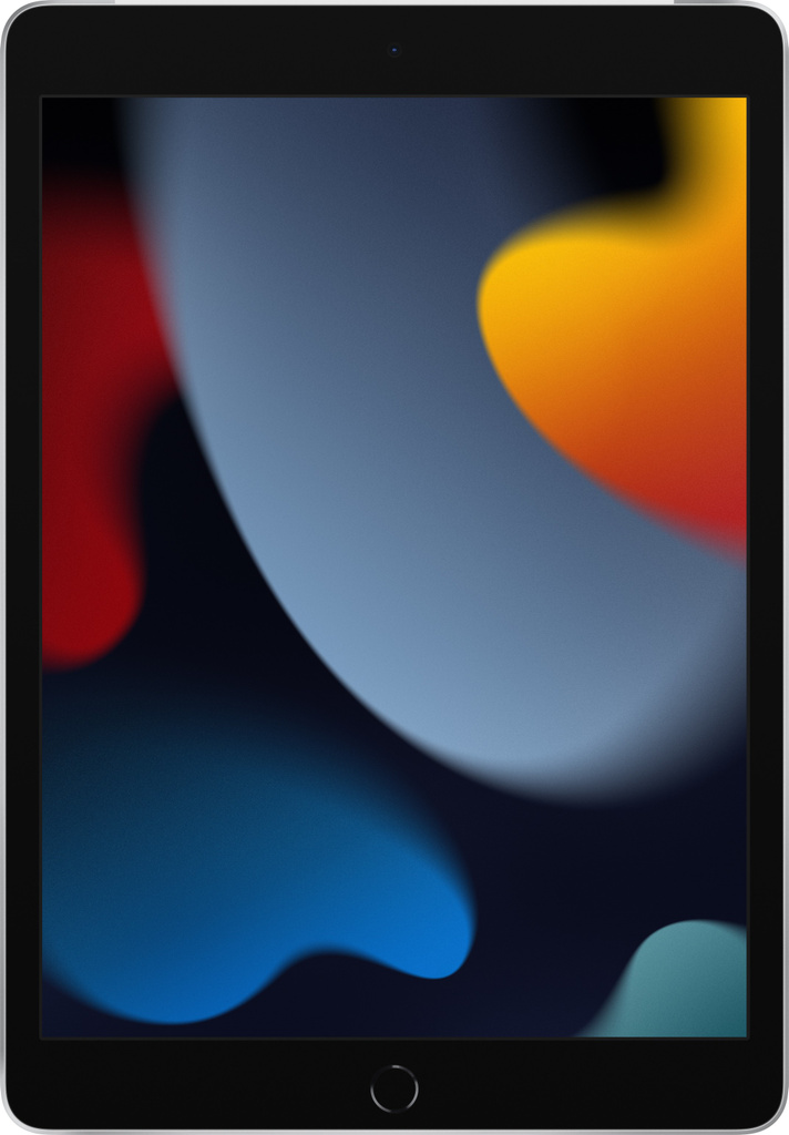 Apple iPad (9th Gen) 256 GB ROM 10.2 inch with 4G A13 Bionic Chip (Silver)