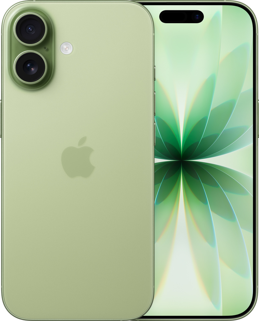 Apple iPhone 17 (Sage, 256 GB)