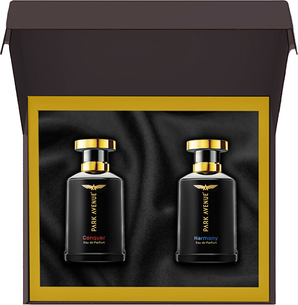 park avenue gift set men conquer harmony eau de parfum 200 ml
