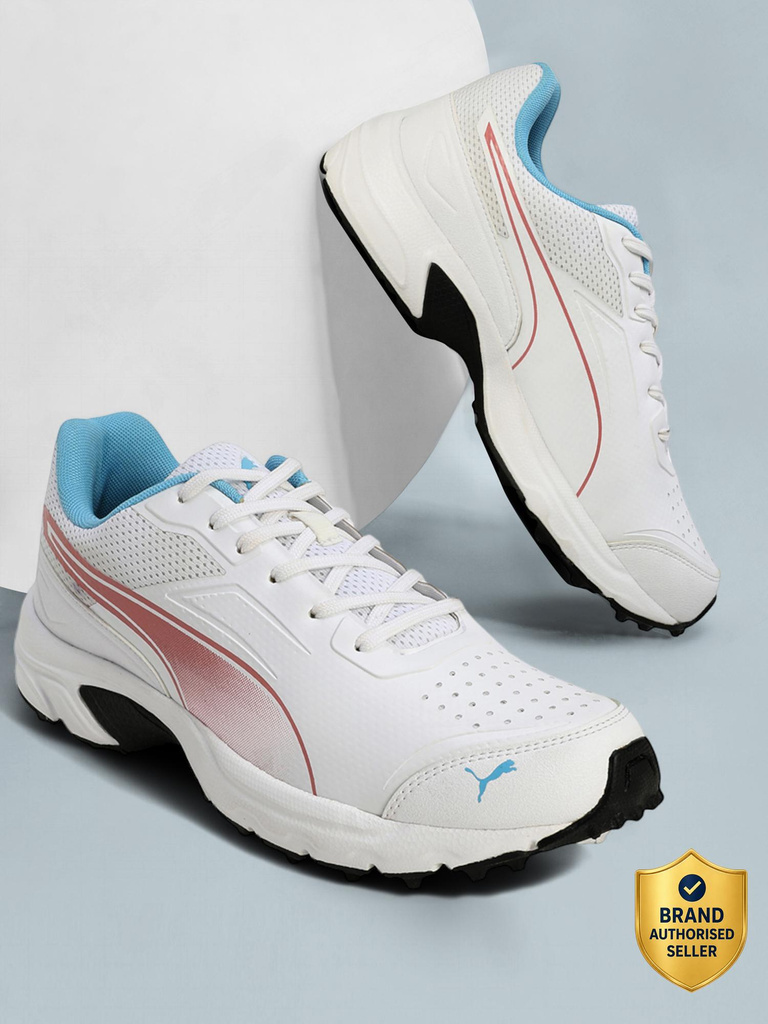 PUMA Cricket Power 2.0 Cricket Shoes For Men