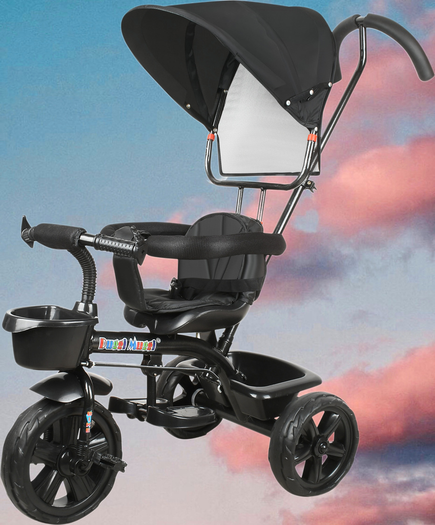 N2P Best Canopy Kids Tricycle 1-5 Years Kids Baby Boy or Baby Girl Kids New Canopy Tricycle Black Colour Tricycle (Black)
