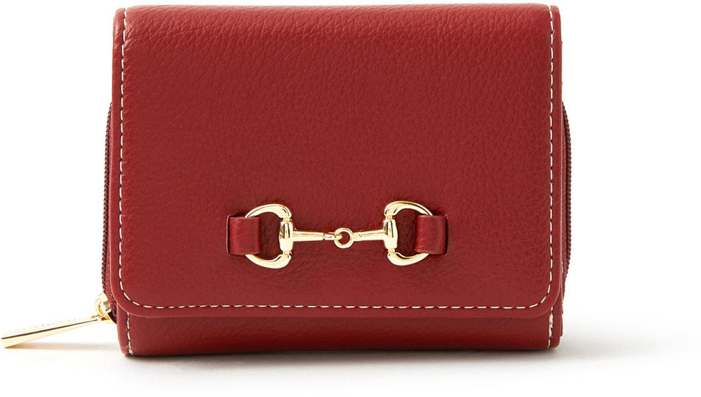 ACCESSORIZE LONDON Women Casual Purple Artificial Leather Wallet