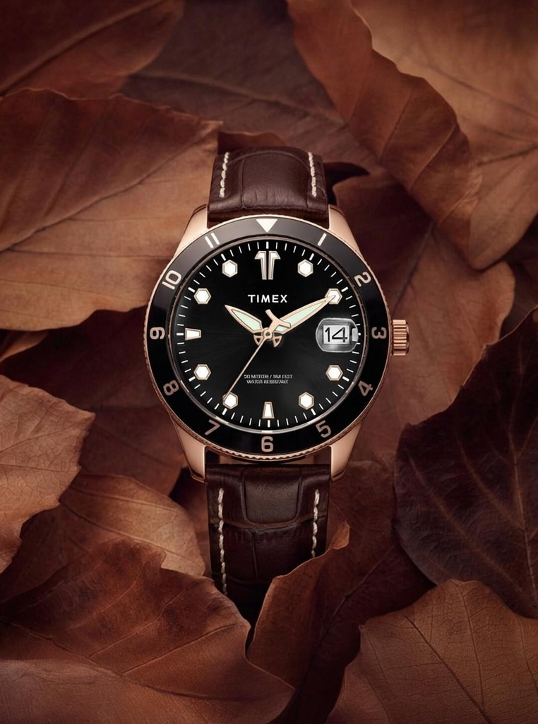 TIMEX Date Display with Magnifier, Black Dial Analog Watch  - For Men