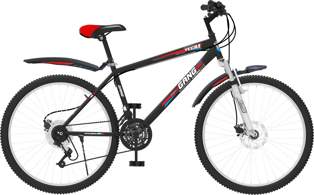 gang cycle price