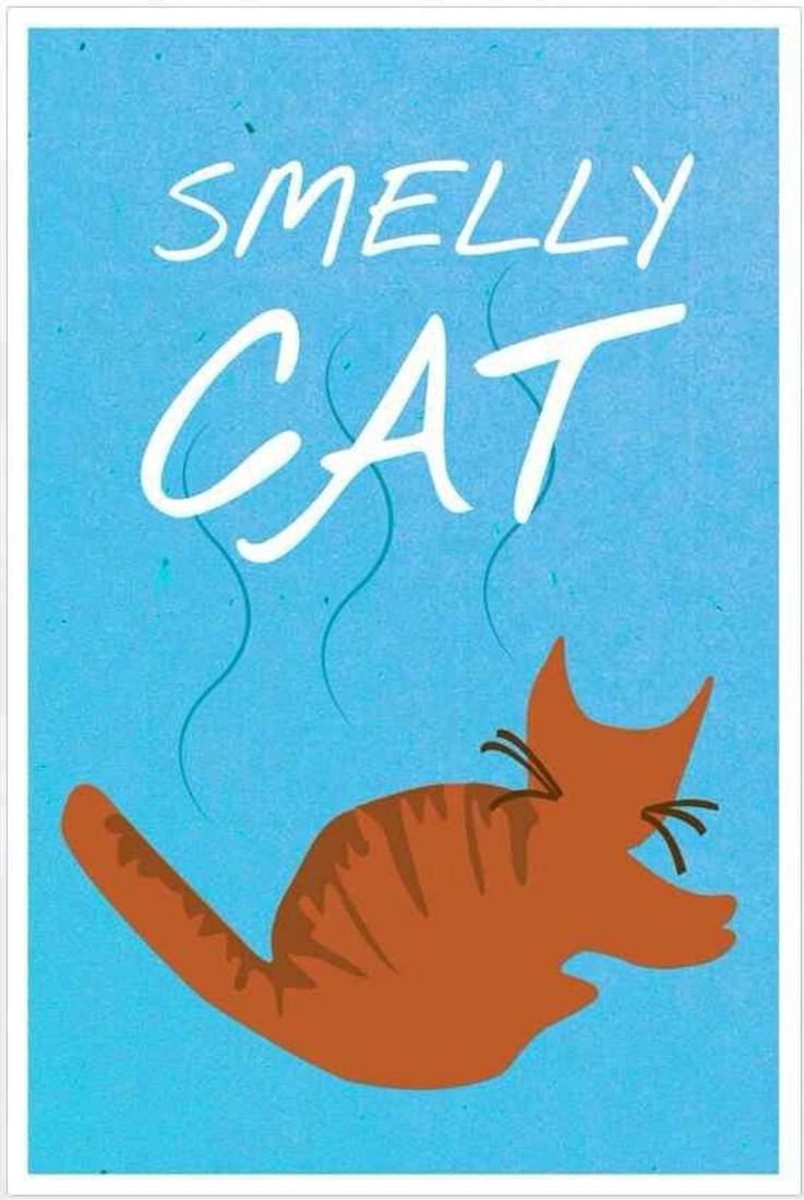 Smelly Cat Phoebe Buffay Songs F R I E N D S Poster For Home
